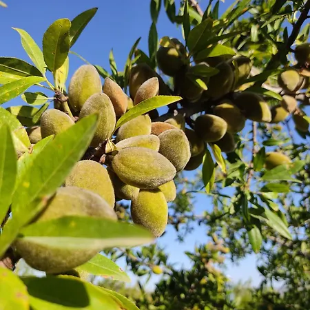 Hacienda Cabreras Apartamento *