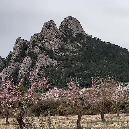 Lägenhet Hacienda Cabreras